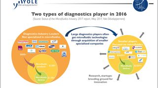 Two types of diagnostics players in 2016 (Yole Développement)