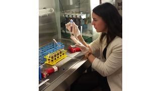 Dagmar Gotthardt und ihre Kollegen haben erstmals gezeigt, dass NK-Zellen einen Faktor produzieren, der das Tumorwachstum begünstigt. (Bild: Petra Kudweis)