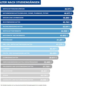 Angehende Wirtschaftsingenieure verdienen am meisten, gefolgt von Naturwissenschaftlern und Medizinern.