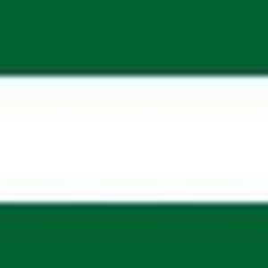 NakedPassword Stufe 1: Noch ist Sally züchtig bekleidet und das Passwort entsprechend unsicher.