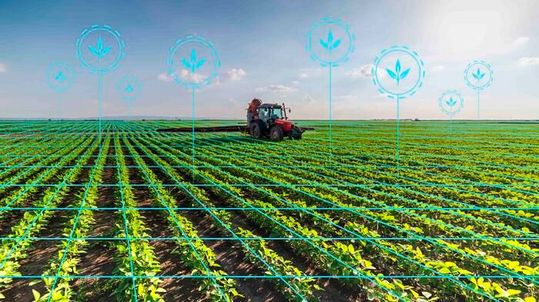 Artificial intelligence-powered lasers, robotic tillers and precision sprayers could revolutionize how farmers manage weeds, but a recent review from the University of Mississippi and Cornell University found that these technologies could also present financial and ecological challenges. (Source:  Sarah Tewolde/University Marketing and Communications)