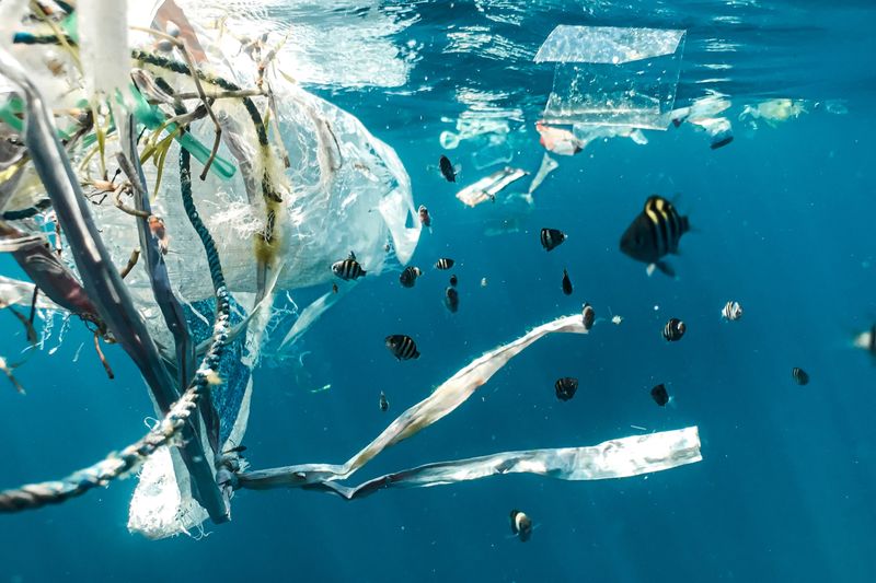 Plastiktüten: 1 %Maßnahme: Jutebeutel und andere Mehrweg-Alternativen benutzen. Sparpotenzial: k. A.*  Die Plastiktüte ist in der Öffentlichkeit mittlerweile als Symbolbild für die Plastikvermüllung abgestempelt und wird schon vielfach gemieden. Möglicherweise ist das ein Grund, warum sie laut der Earth-Watch-Untersuchung lediglich Platz zehn bei den Plastikabfällen aus Flüssen belegt: 1 % des Plastiks dort sind demnach Tüten und Beutel. * Wie viel Plastikmüll-Eintrag in die Umwelt vermieden werden könnte, gibt die Untersuchung nicht an. Allerdings würden 9.000 t Plastikmüll pro Jahr wegfallen, wenn jeder in Großbritannien auf Plastiktüten verzichtet. (Naja Bertolt Jensen/Unsplash)