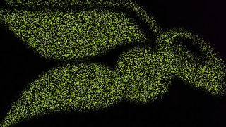 Video_Hornetsecurity ()