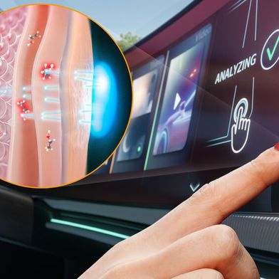 Durch Fingerauflegen wird der Blutalkoholwert präzise ermittelt. (Bild: Aumovio)