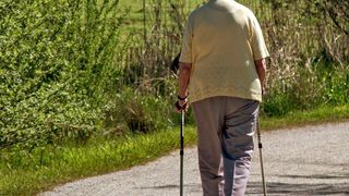 Bei altersbedingten Erkrankungen wie Diabetes, Alzheimer, aber auch bei Herz-Kreislauf-Erkrankungen spielen Proteinaggregate eine große Rolle. (gemeinfrei)