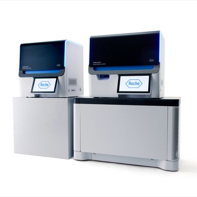 En cas d'infections du sang, une identification tardive des agents pathogènes résistants peut entraîner un retard dans la mise en place d'un traitement adapté. (Image :Roche)