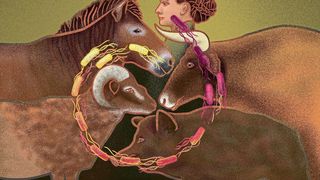 Gefährliche Nähe: Schon lange vermutet die Forschung einen Zusammenhang zwischen dem Aufkommen von Ackerbau und Viehzucht und der Entwicklung von Krankheitserregern, die von Tieren auf Menschen überspringen. Die Analyse des Erbguts jahrtausendealter Salmonellen belegt erstmals diese These. (Bild: © Annette Günzel )