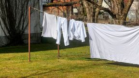 Cloud Washing: Alte Services in frischem Gewand, aber nur dem Anschein nach lupenrein digital souverän. (Bild: frei lizenziert PlaNet)