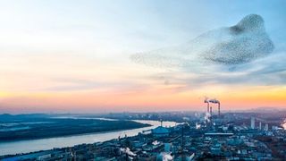 Endress+Hauser wird auf auf der Hydrogen & Carbon Capture Technology Expo Europe in Hamburg zeigen, wie moderne Messtechnik die Transformation hin zu einer klimaneutralen Industrie beschleunigen kann. (Bild: Endress+Hauser)