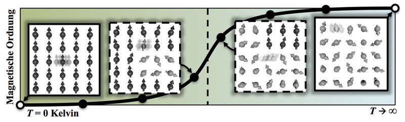 Atomare Schwingungen und magnetische Anregungen beeinflussen die Stabilität von Stählen bei hohen Temperaturen. Dabei kann man sich die Eisenatome (im Bild als Kugeln dargestellt) als kleine Magneten vorstellen, die bei zunehmender Temperatur ihre Ausrichtung umdrehen (graue Pfeile). Die neu entwickelte Methode erlaubt erstmals die Berechnung des gegenseitigen Einflusses von atomaren Schwingungen und magnetischen Anregungen über den kompletten Temperaturbereich. (Bild: Max-Planck-Institut für Eisenforschung)