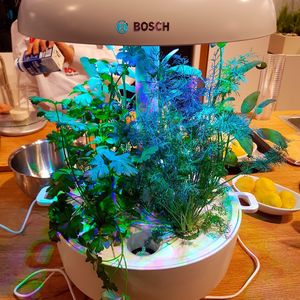 (Oliver Schonschek, IT-Business)