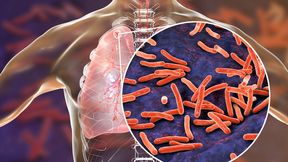 Einige bakterielle Krankheitserreger wie Mycobacterium tuberculosis stellen sich tot, um Antibiotika zu umgehen. Ein neuer Test beobachtet sie genau – und hilft dabei, Medikamente auszuwählen, die ihre Aufgabe erfüllen. (Symbolbild) (Bild: © Dr_Microbe - stock.adobe.com)