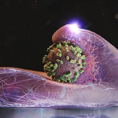 Cells actively help to capture and incorporate influenza viruses. Here, a cell is shown, with a virus in the centre of the image. (Source: Emma Hyde/ ETH Zurich)