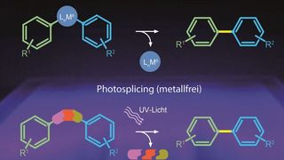 Zur Synthese von Biarylen werden auf dem klassischen Weg (oben) Schwermetalle enthaltende Katalysatoren eingesetzt (blauer Kreis). Die neue, metallfreie Photosplicing-Technologie (unten) nutzt einen Sulfonamid-linker, der unter UV-Licht in gasförmige Fragmente zerfällt. Dabei bildet sich das gewünschte Endprodukt. (Florian Kloß/HKI)