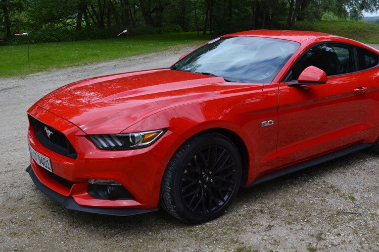 Erstmals in seiner über fünfzigjährigen Geschichte wird der Mustang offiziell auch über das deutsche Ford-Händlernetz vertrieben. (Foto: Michel)