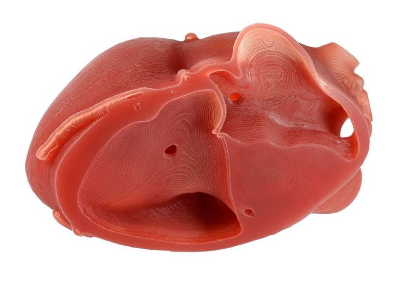 Dabei liegt der Schwerpunkt des Modells auf einer realistischen Funktionalität. Deshalb verfügt es über einzigartige, konstruierte, anatomische Klappen und hohle Gefäßstrukturen. Die additive Herstellung mit Silikon und ACEO-Technologie (Wacker Chemie AG, München) ermöglicht es, die elastischen Eigenschaften des Herzgewebes unter Beibehaltung der geometrischen Komplexität nachzubilden. (Purmundus Challenge)