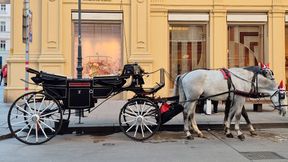 Während Touristen die österreichische Hauptstadt mit zwei PS erkunden, wurde Ende April 2026 im Rahmen des 47. Wiener Motorensymposiums in der Hofburg der Antrieb von morgen diskutiert.  (Bild: Stefanie Eckardt)