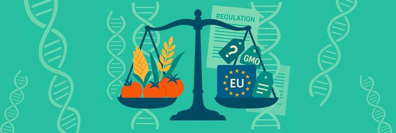 Das EU-Parlament plant, die Regeln zur Kennzeichnungspflicht für gentechnisch veränderte Lebensmittel zu lockern. Was dies für Verbraucher, Landwirte und die Versorgungssicherheit mit Lebensmittteln bedeutet, lesen Sie hier.(Bild:  GPT Image Editor / KI-generiert)