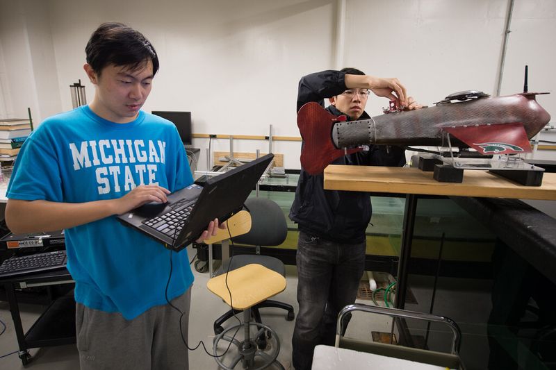 Die Doktoranten Feitian Zhang und Jianxun Wang bei der Arbeit an dem Roboter-Fisch. (Michigan State University/G.L. Kohuth)