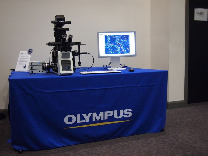Eine der Stationen, an denen die Fachjournalisten einen ersten Eindruck der neuen Life-Cell-Imaging-Mikroskope bekamen. (Bild: Olympus)
