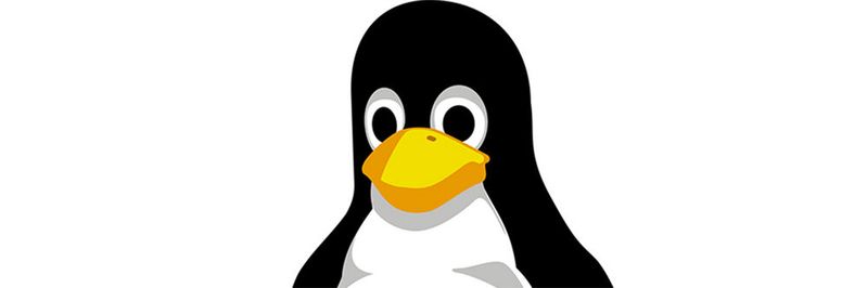 Wer Daten auf Linux-Servern sichern will, hat mehrere Möglichkeiten. Wir zeigen einige der wichtigsten.(Bild:  gemeinfrei /  Pixabay)
