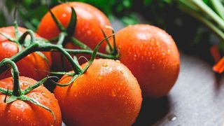 Wissenschaftler der Uni Jena und der Uni Düsseldorf erforschen die hautschützende Wirkung von Carotinoiden nach dem Sonnen. In vielen Gemüsesorten, z. B. in Tomaten und Karotten, sind Carotinoide enthalten. (gemeinfrei)