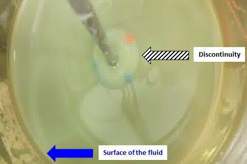 Figure 1: Visual appearance of the discontinuity and central region.(Source:  Syngenta)