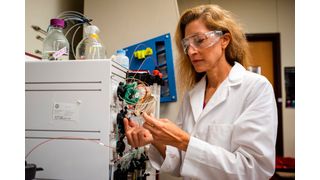 Jennifer Maynard, professor in the McKetta Department of Chemical Engineering at UT Austin.  (Source: University of Texas at Austin)