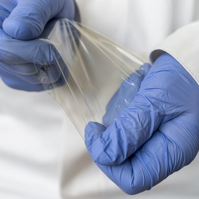 Chitosan-Folien eignen sich aufgrund ihrer ausgewogenen Elastizität und Transparenz gut für Verpackungsanwendungen. (Bild: Fraunhofer IGB)