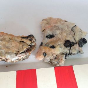 (VIBT Extremophile Centre)