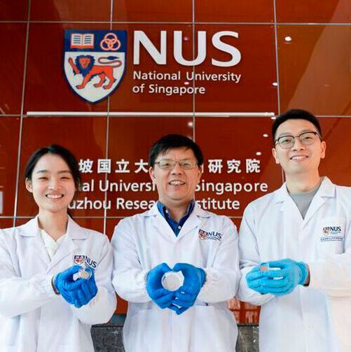 NUS Professor Huang Dejian (middle) and his research team, which included Ms Su Lingshan (left) and Dr Jing Linzhi (right), developed the plant-based cell culture scaffolds. NUS Professor Huang Dejian (middle) and his research team, which included Ms Su Lingshan (left) and Dr Jing Linzhi (right), developed the plant-based cell culture scaffolds.