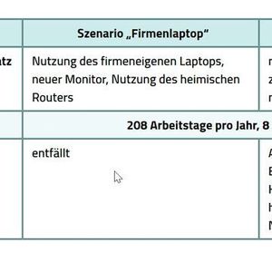(Öko-Institut (2022): Arbeiten im Homeoffice)