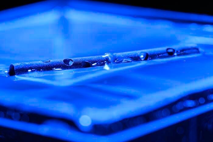 “If you severely damage the tubes with as many holes as you can punch, they still float,” says Guo. (Source: J. Adam Fenster / University of Rochester)