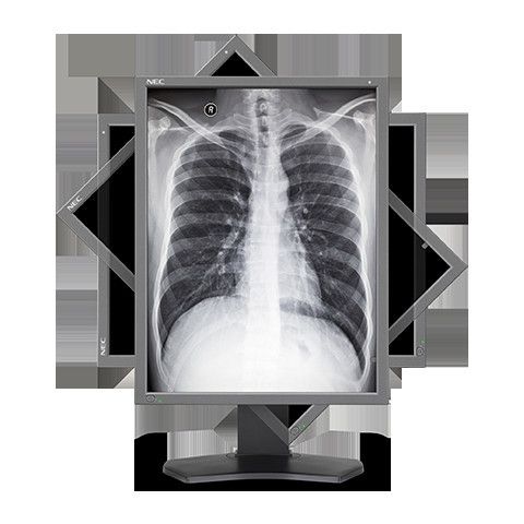 Das Display kann bei Bedarf gedreht werden. (Bild: NEC Display Solutions)