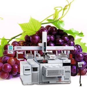 Abb. 1: 1 Das eingesetzte 1D/Heart-cut-2D-GC-O/MS-PFC-System zur Analyse von Duftstoffen in Wein. 