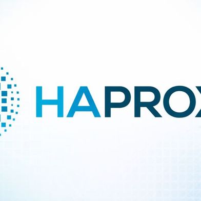 „HA Proxy“ lässt sich als Proxiy im Unternehmen nutzen (Bild: Thomas Joos)