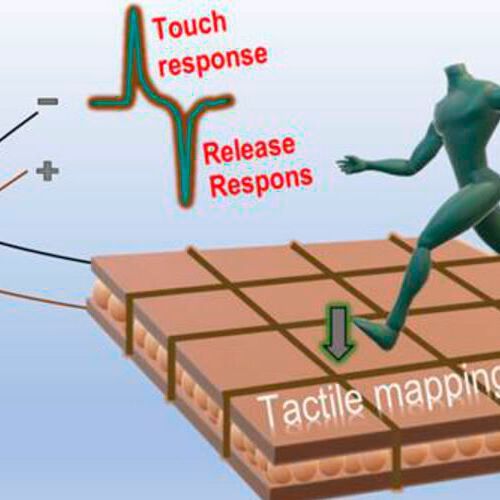 As a proof of concept, the INST team has also shown a few applications in pressure mapping sensor, acoustic sensor, and as a piezoelectric energy harvester. As a proof of concept, the INST team has also shown a few applications in pressure mapping sensor, acoustic sensor, and as a piezoelectric energy harvester.