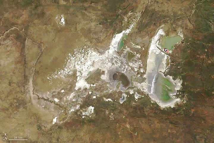 Makgadikgadi-Salzpfannen in Botswana – laut einer Studie der Universität Sydney liegen die Ursprünge des Homo sapiens sapiens in dieser Gegend. (Aufnahme vom 10. Juni 2018) (Bild: NASA Earth Observatory image by Joshua Stevens.)