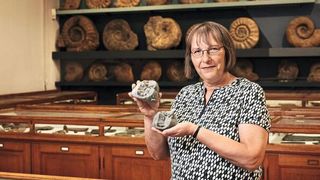 Prof. Madelaine Böhme mit 3D-Drucken der Backenzähne von Buronius und Danuvius: In der Grabungsstätte Hammerschmiede im Allgäu stieß sie bereits auf zwei bislang unbekannte Arten ausgestorbener Menschenaffen. (Bild: Berthold Steinhilber / Universität Tübingen)