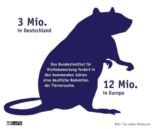 Mai Ausgabe 2015  Tierversuche - Die Anzahl weiter reduzieren   Das Bundesinstitut für Risikobewertung fordert in den kommenden Jahren eine deutliche Reduktion der Tierversuche. (Bild: Laborpraxis)