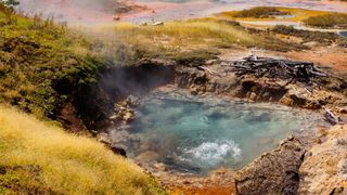 Montana State University scientists have found evidence that tiny organisms living in Yellowstone National Park's hydrothermal area produce methane. (Source: Roland Hatzenpichler)