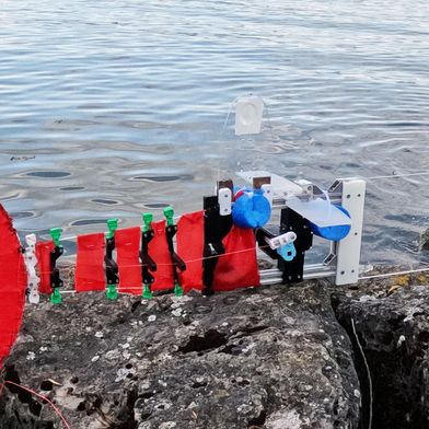 EPFL-Forschende haben ScaFi (kurz für „Scalable Fish“) vorgestellt, einen Roboter, der Fischen wie Kabeljau und Makrele nachempfunden ist. Seine Größe ist variabel veränderbar. (2026 CREATE Lab EPFL)