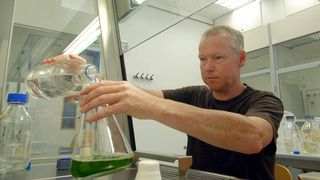 Prof. Dr. Michael Hippler gießt frisches Nährmedium in einen Anzuchtkolben mit Grünalgen.  (Bild: Peter Grewer)