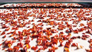 Ob Dörrobst, Schotter oder Müll, das alles wird auf Bandsortieranlagen nach Größe
oder Qualität geordnet.  (Bild: Fraunhofer IOSB)