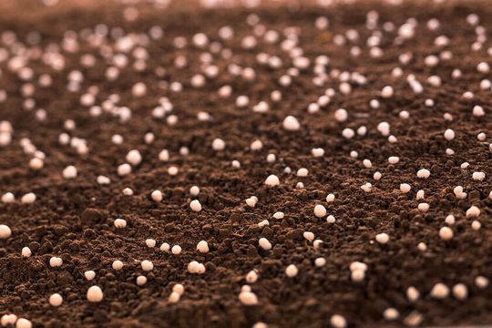 Pilot project in China demonstrates that Limus-treated urea fertilizers lead to significant carbon emissions reductions.(Source:  BASF)