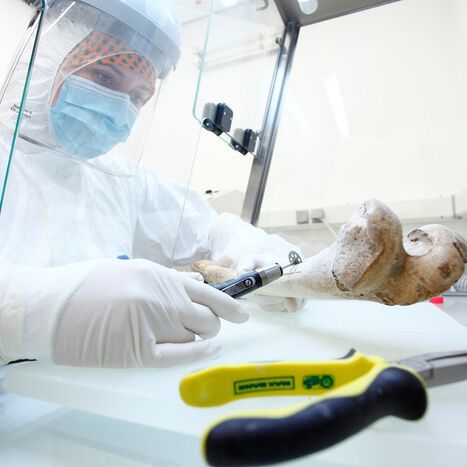 Ancient DNA extraction in Mainz’s lab. Work done in sterile conditions to avoid contamination from modern DNA. Ancient DNA extraction in Mainz’s lab. Work done in sterile conditions to avoid contamination from modern DNA.