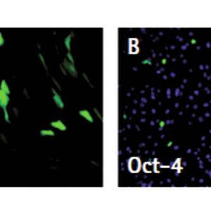 (Bild: Merck Millipore)