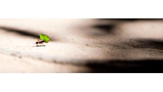 Die Vorbereitung der Supply Chain auf das Unvorhersehbare könnte zu einem der wichtigsten Trends in 2019 werden. (Bild: Photo by Vlad Tchompalov on Unsplash)