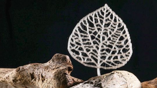 Une feuille imprimée en 3D fabriquée avec le nouveau bioplastique.(Source :  Alain Herzog (EPFL))