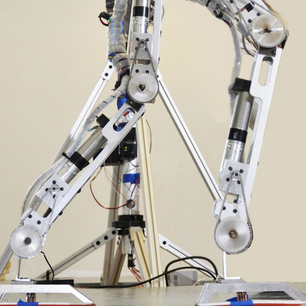 Motoren von Maxon treiben Gelenke für Roboter an